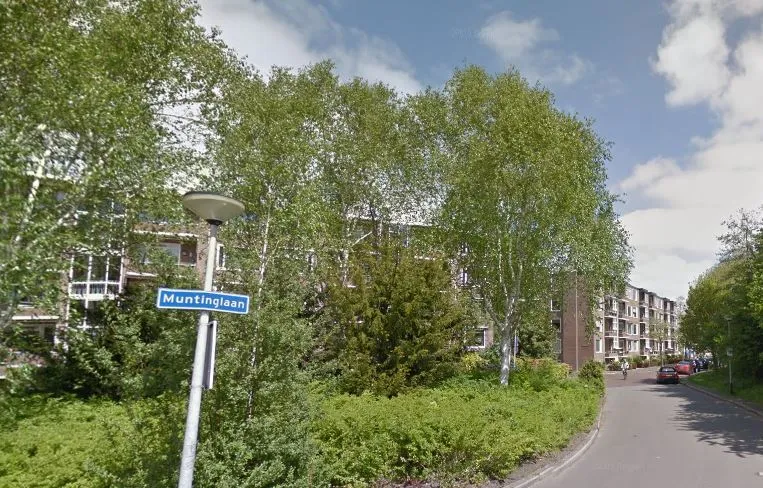 muntinglaan grunobuurt stadspark