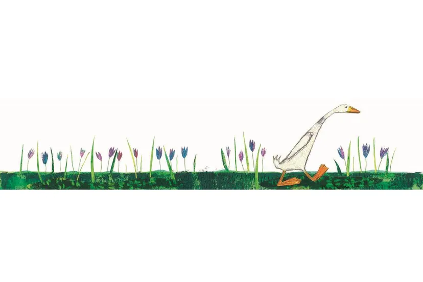 nationale voorleesdagen forum groningen