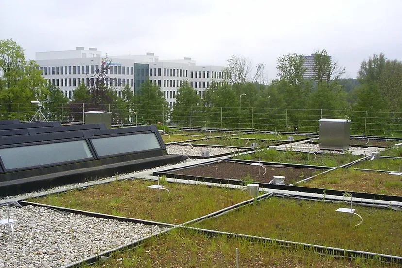 nioo groen dak cc by sa 30 wikipedia commons pimvantend