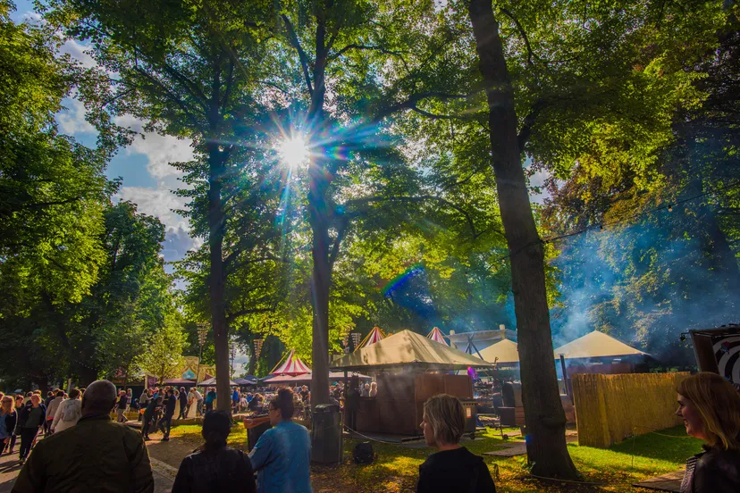 nzon2017 sfeer47 cknelis