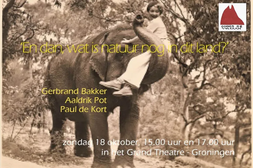 onder de vulkaan stichting square web