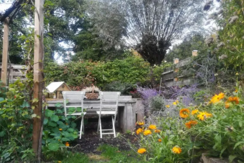 operatie steenbreek groning natuur en milieufederatie groningen 2019 meerstad