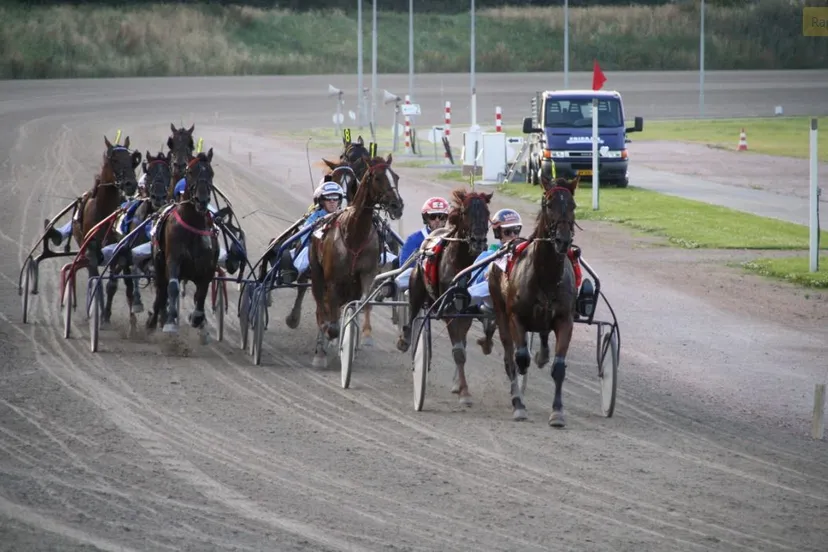 paardesport drafbaan