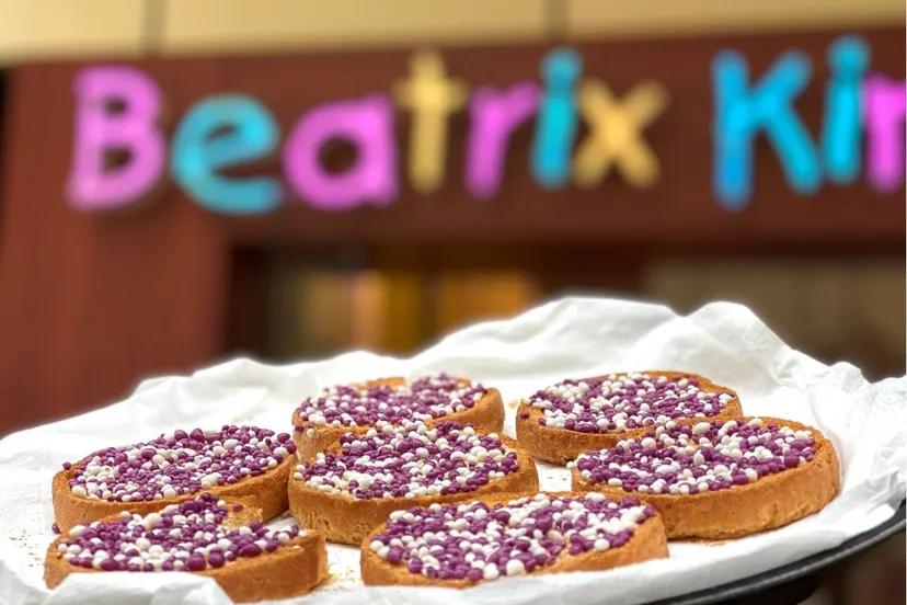 paarse muisjes paarse muisjes van de ruyter in samenwerking met de stichting veerkrachtige ouders zijn deze onlangs gelanceerd op de ic neonatologie afdeling van het beatrix kinderziekenhuis umcg