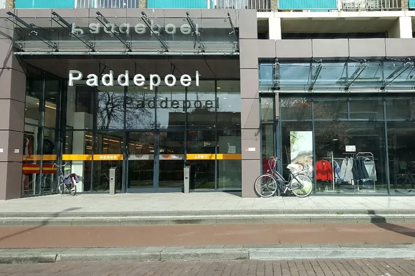 paddepoel de redactie