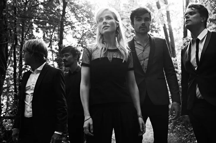 paint common linnets