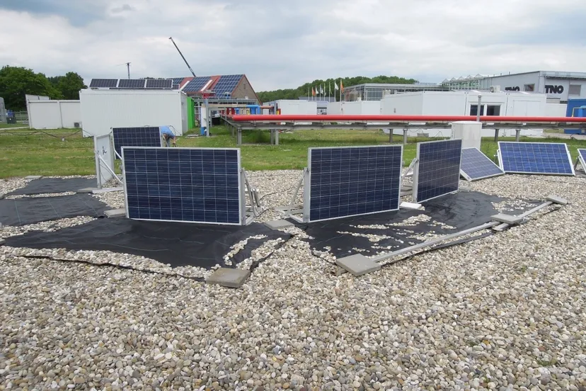 panelen 1 hanzehogeschool groningen