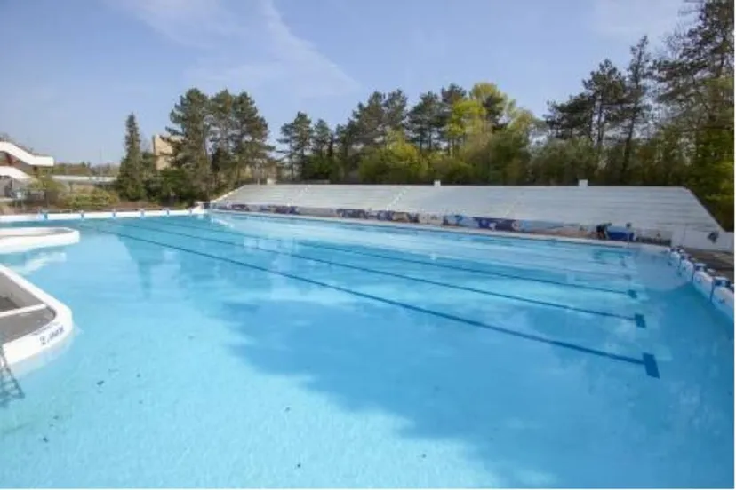 papiermolen henk tammens