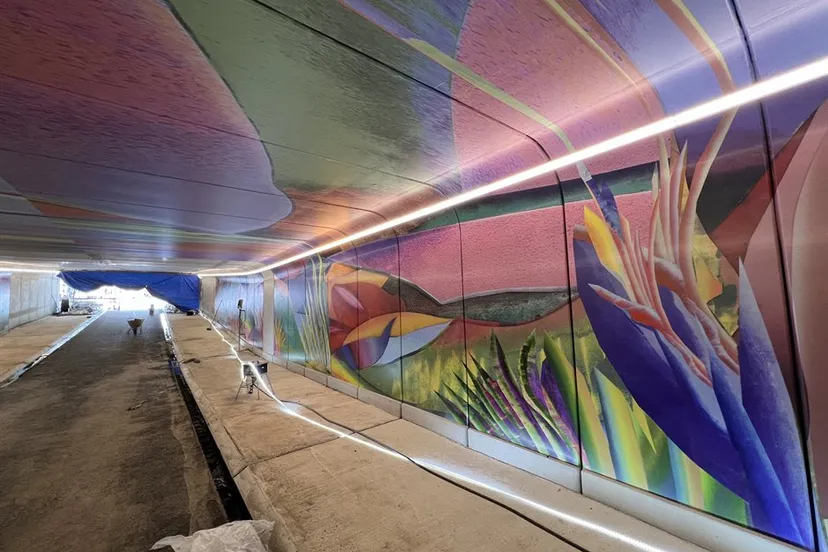 papiermolentunnel aanpak ring zuid