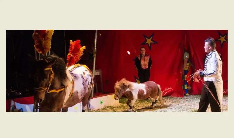 persfoto 1 circus bossle