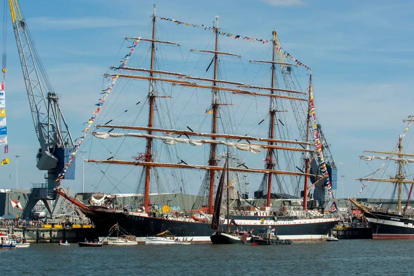 persfoto delfsail20096delfsail richard degenhart