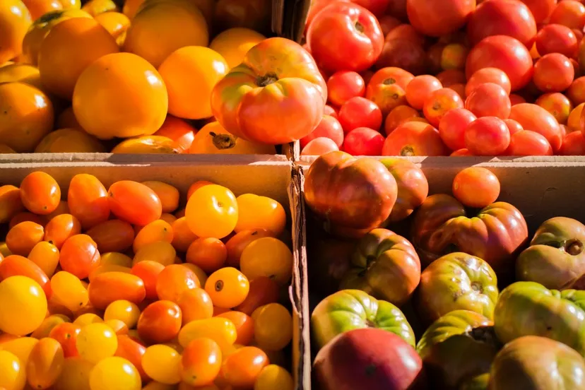 photo 133389jpgd groente fruit pompoen markt
