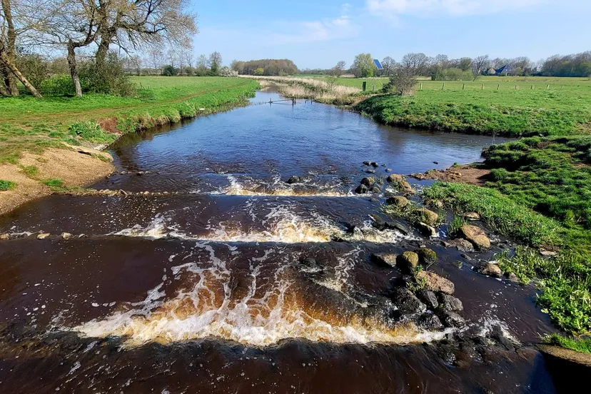 photo 2023 05 02 16 36 27 ovv waterschap noorderzijlvest locatie vistrap sterrenbos