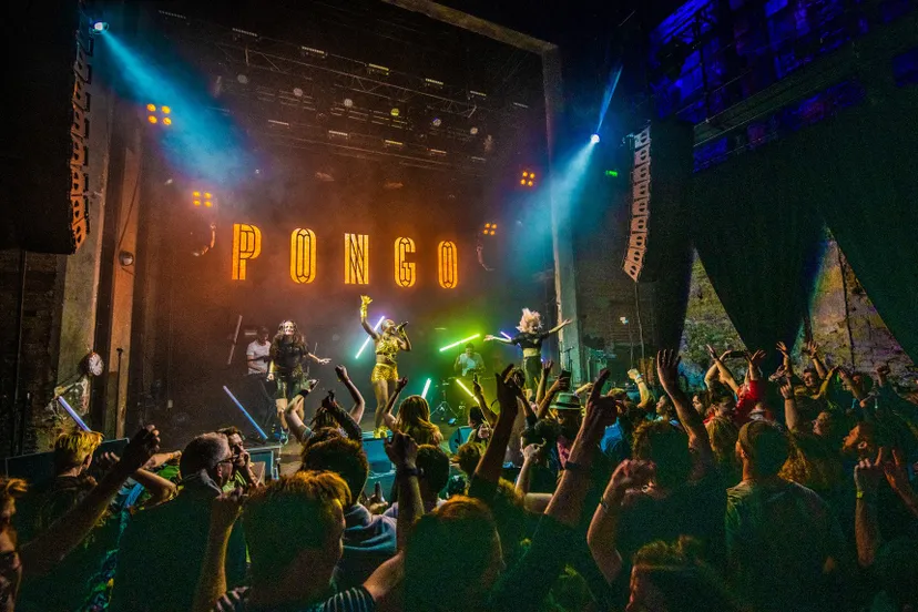 pongo vera 007 dsc 0656 niels knelis