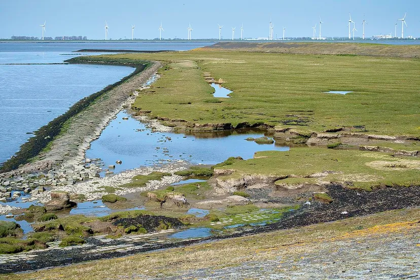 punt van reide 3 cc by sa 40 hardscarf