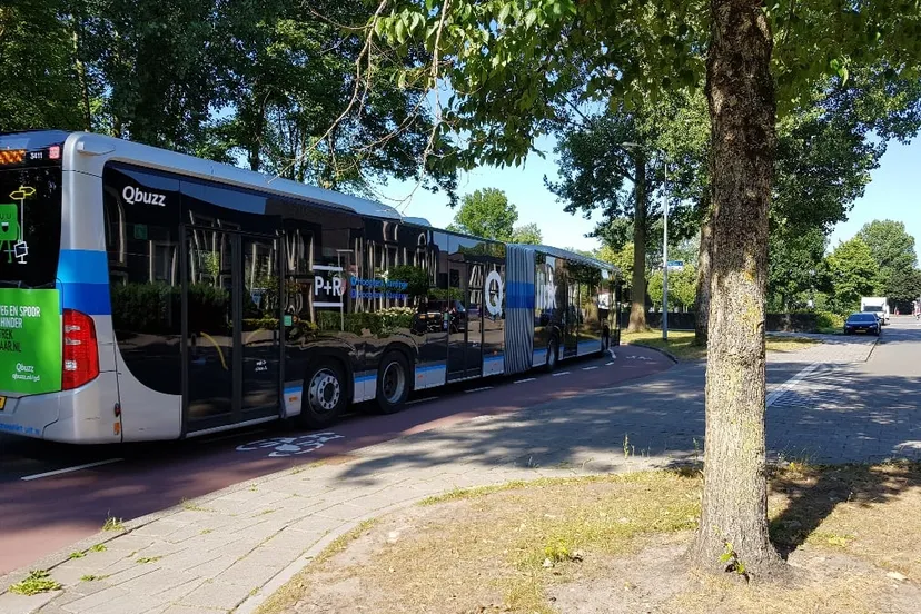 qbuzz lijn 3 lewenborg de redactie