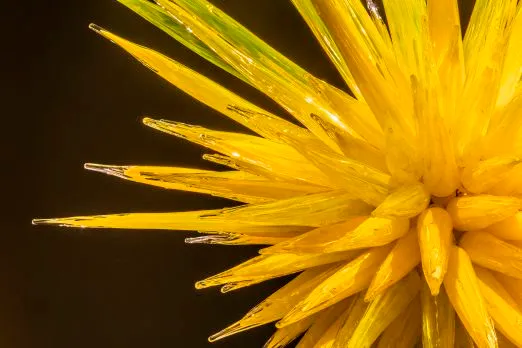radiant yellow icicle chandelier detail 2015 chihuly studio