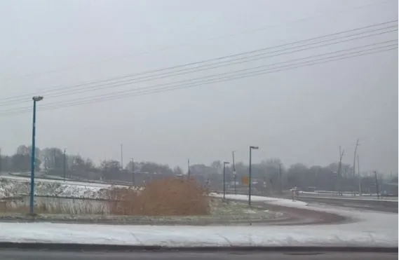 ring kardinge sneeuw