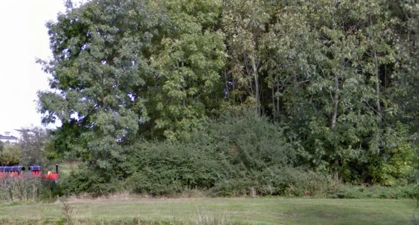 roege bos vinkhuizen