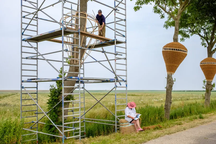 roger rigorth 1965 altheim duitsland duitse kunstenaar roger rigorth werkt aan zijn kunstwerk te zien in de bomen aan de oude zeedijk op de kruising bij het dijksterpad e1498812588117