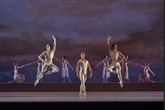 royal opera house rhapsody the two pigeons