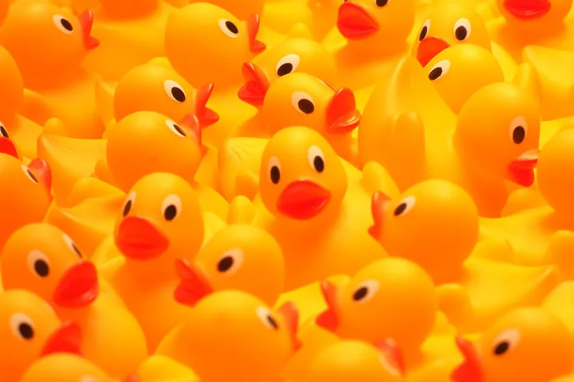 rubber duckies so many ducks badeendjes cc by 20 flickr creative commons gaetanlee