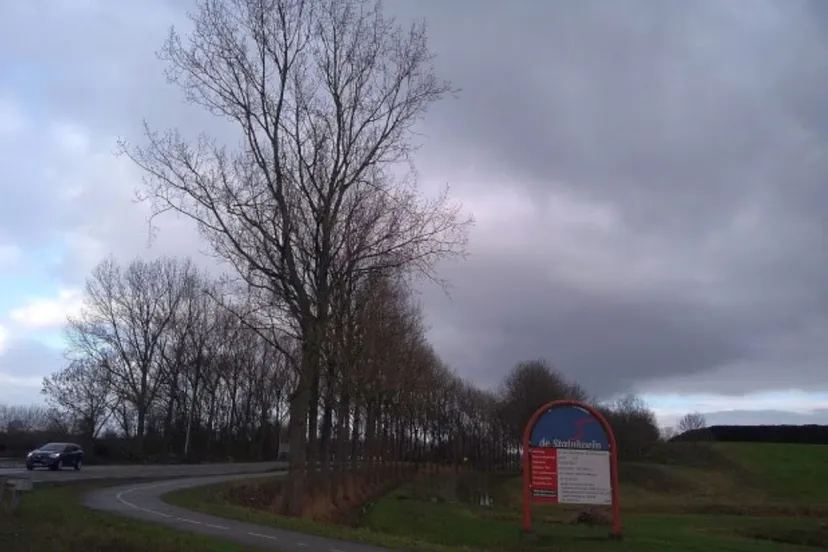 ruim honderd nieuwe bomen langs winschoterweg