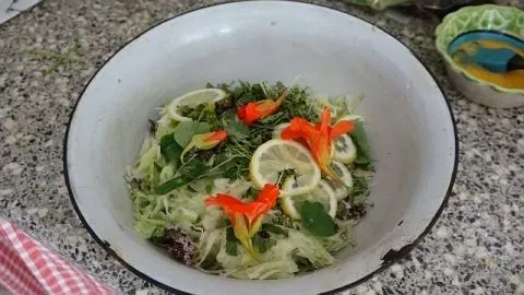 salade groningse thuiskoks delen maaltijden met buurtbewoners