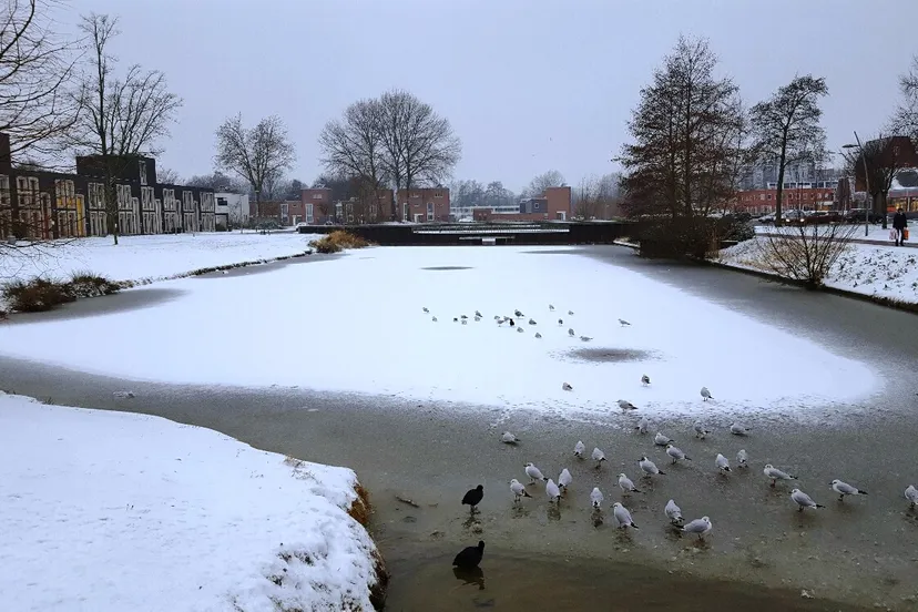 sneeuw lewenborg vijver uitzicht winkelcentrum