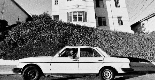 soul zanger curtis harding