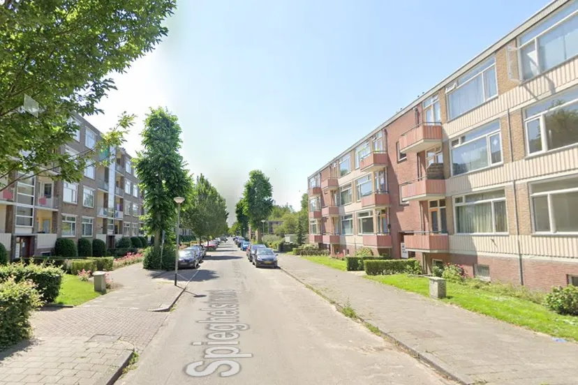 spieghelstraat de wijert