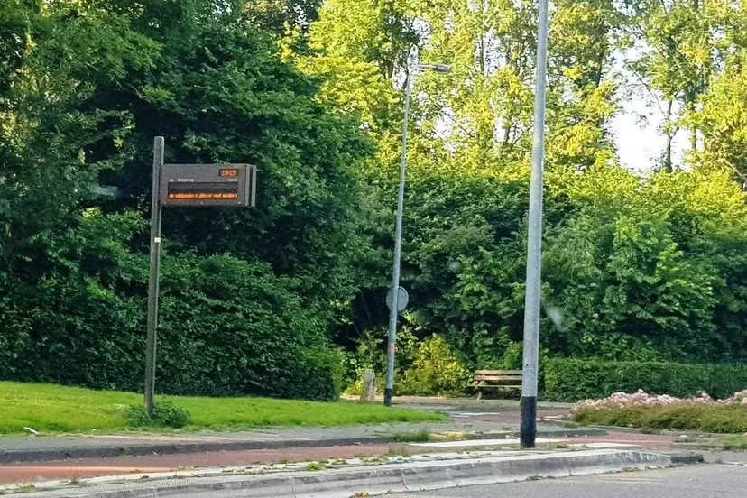 staking11 e1530222575583