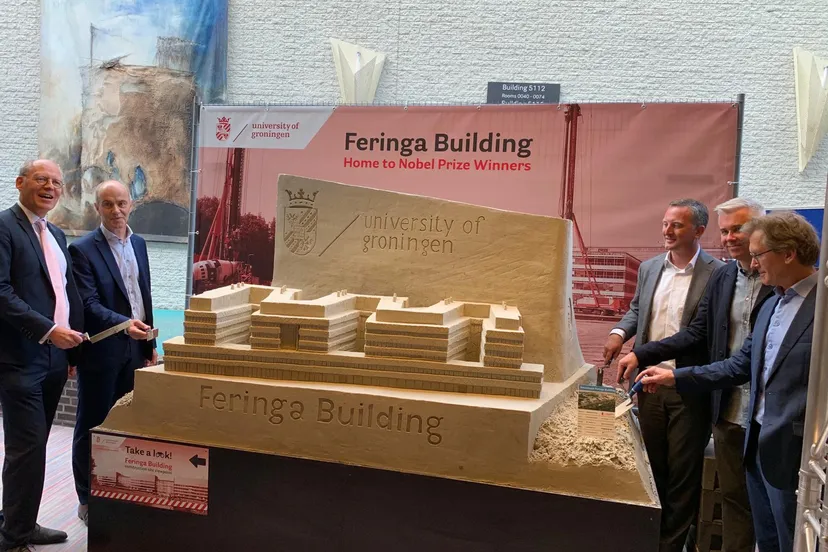 start feringa building 1 rug