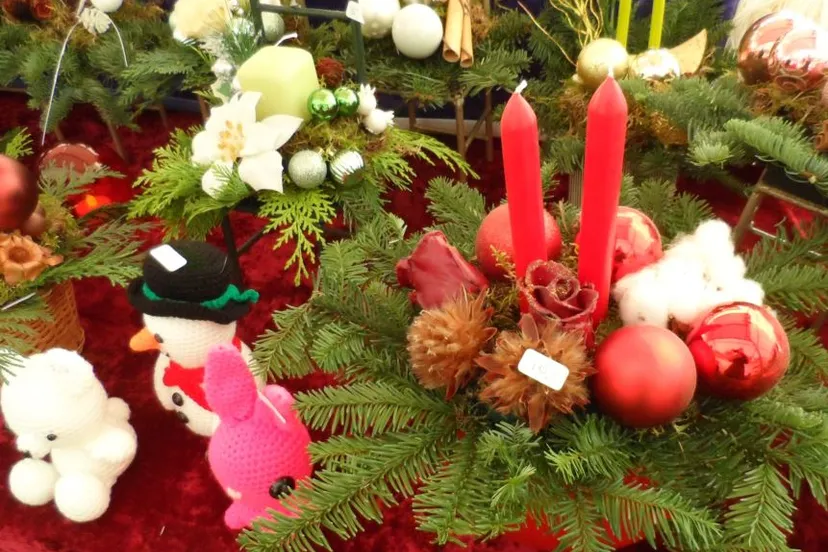 stichting meer hoornse meer