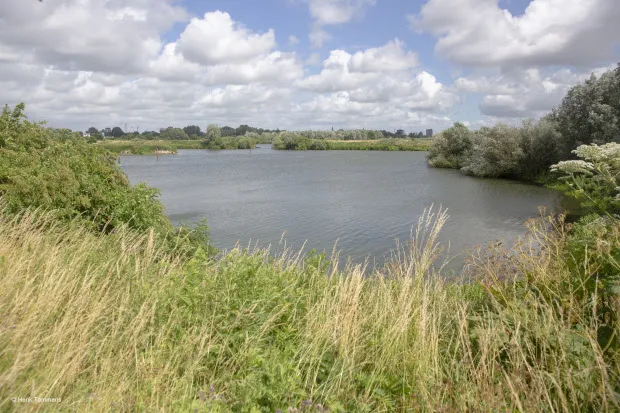 suikerfabriekterrein henk tammens gemeente