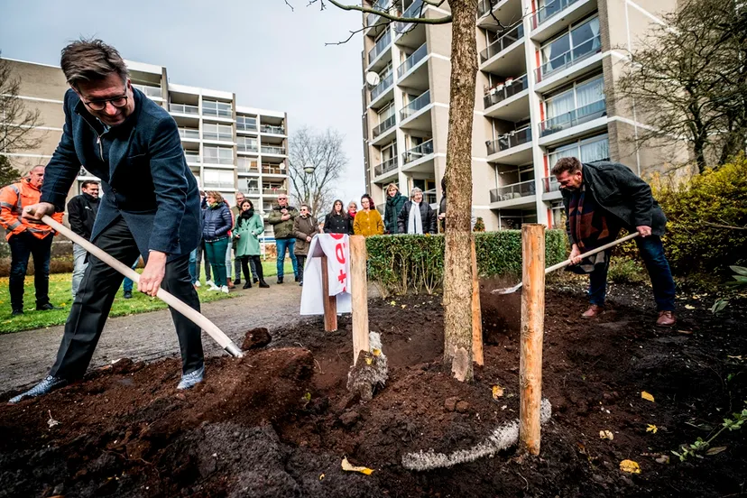 sv 2019 1129 nijestee bomen planten 1500 lr 1 siese veenstra
