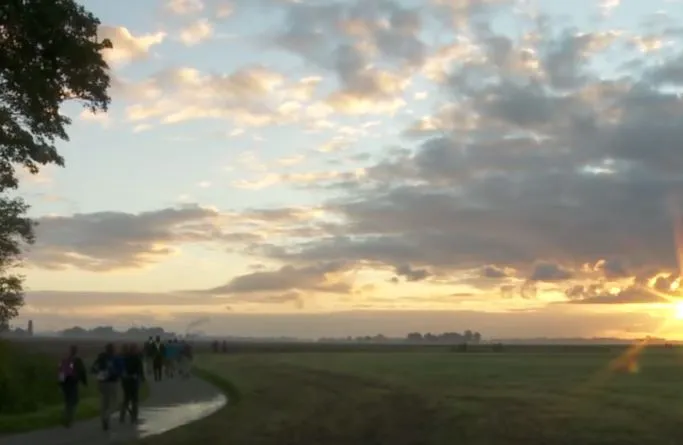 todn 2015 anderevertoningen