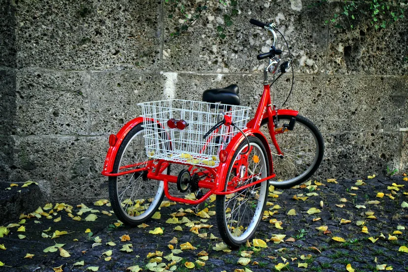 tricycle gb41dfc559 1920 driewieler manfred antranias zimmer via pixabay
