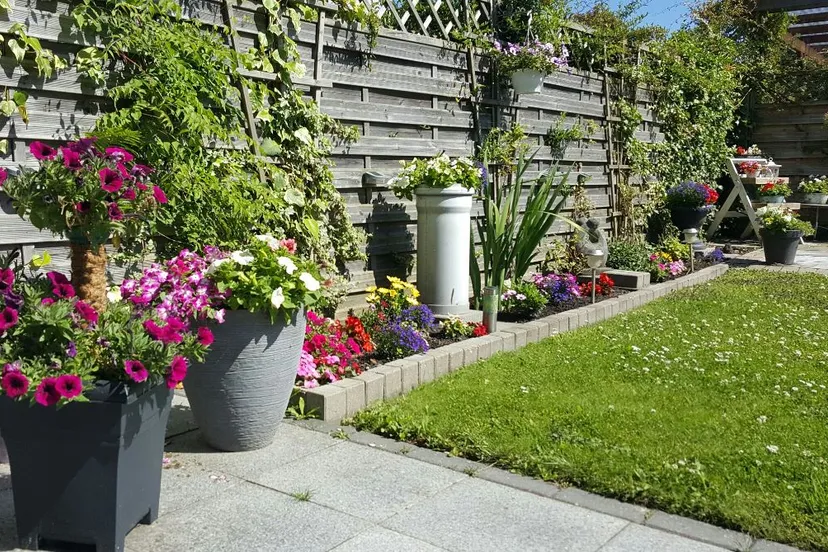 tropische temperaturen