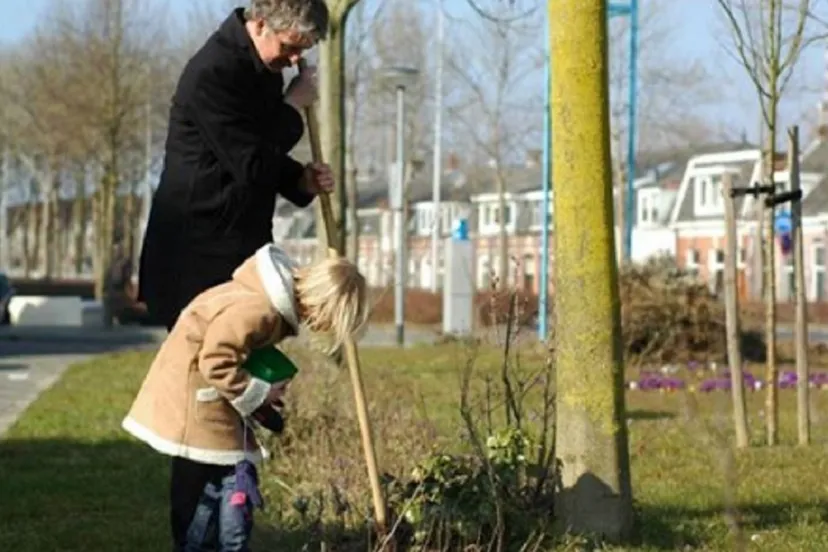 tuinboon je mee 2017