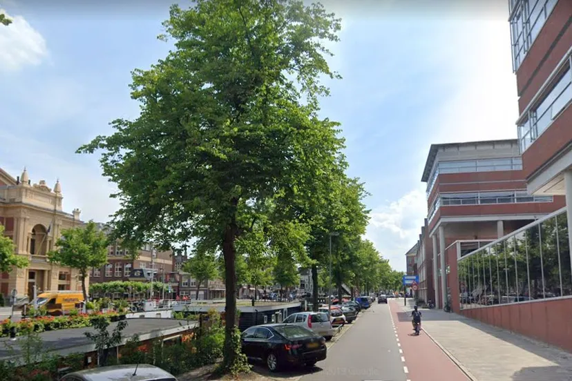 turfsingel naast provincie huis1