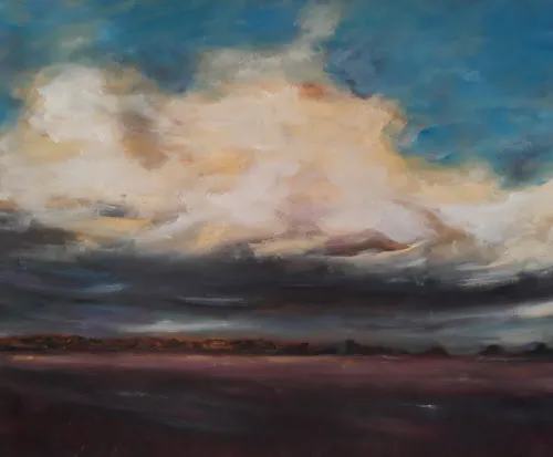 unnamed 2021 04 24t103304613 wolk van wil mazeland foto via gemeente groningen