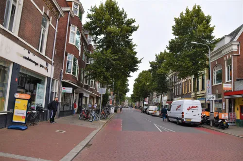 unnamed 2021 09 05t203406919 westersingel herinrichting