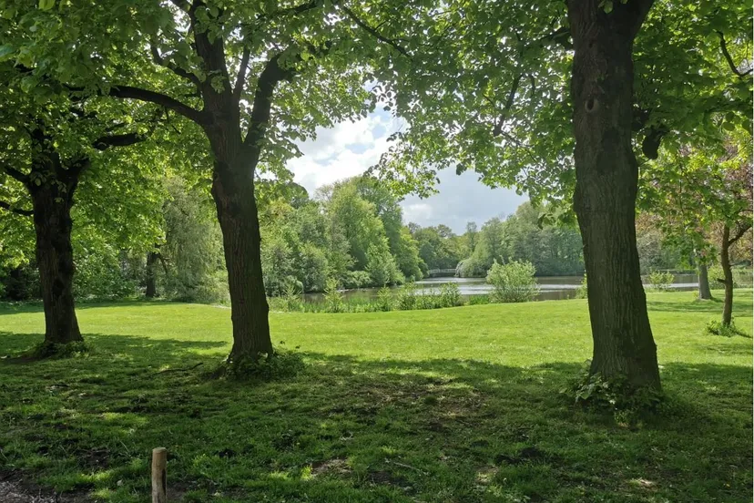 vijver stadspark