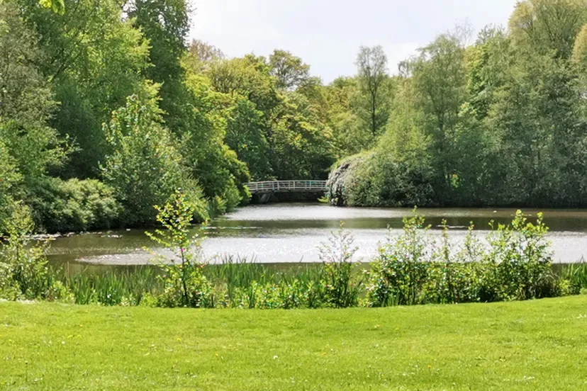 vijver stadspark weer zon