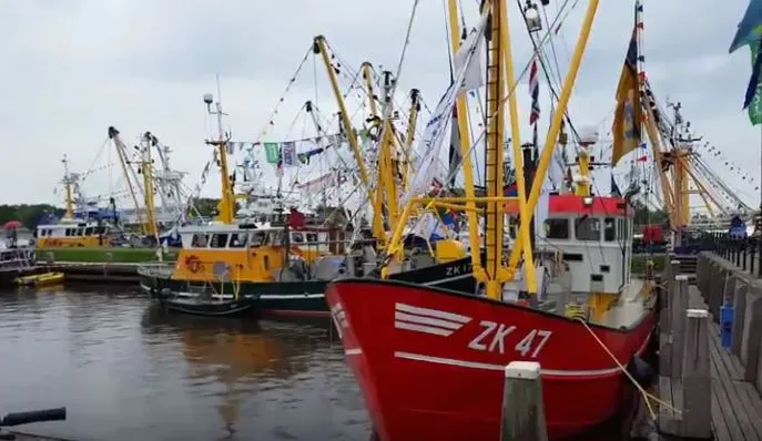 vlaggetjesdag 2017 you tube beeldcitaat harry