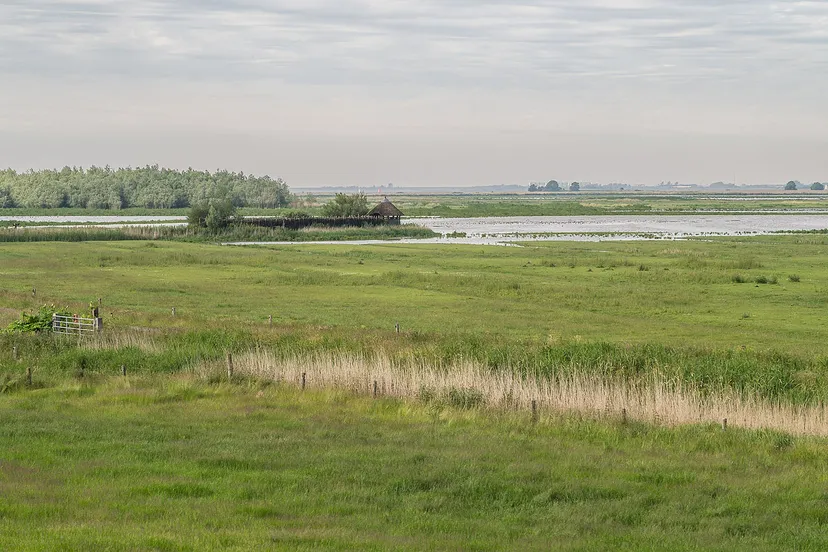 vogelkijkhut lauwersmeer gebied 3 cc by sa 30 wikipedia commons uberprutser