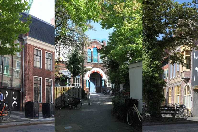 vrijdag persfoto nieuwe cursussen