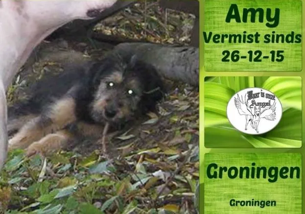 waar is onze angel 11 e1452083693341