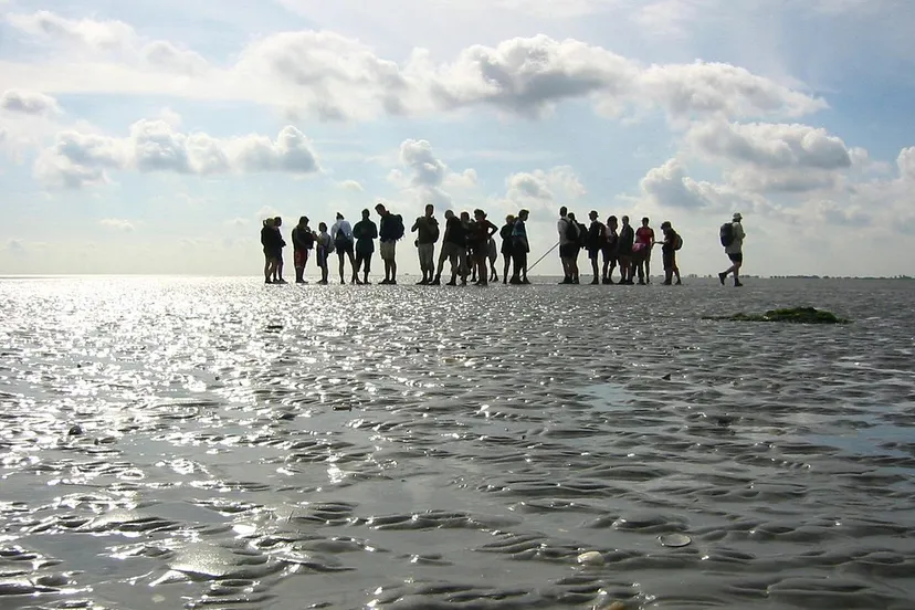 wad lopen cc by sa 30 wikipedia commons michielvd